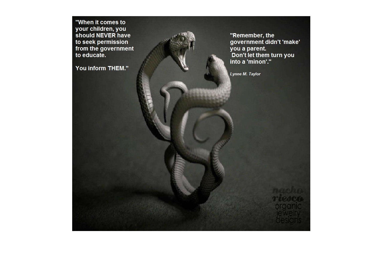 The Links SEL and CBE Education Policy Common Core Diva