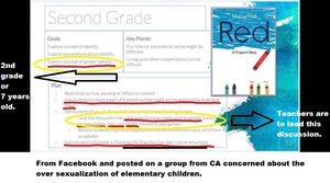The Red Crayon's Story CSE Curriculum Deeply Concerning